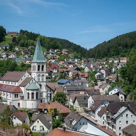 Appartamento Haus Am Bergle Lauterbach  Esterno foto