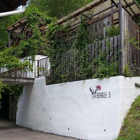 Appartamento Haus Am Bergle Lauterbach  Esterno foto