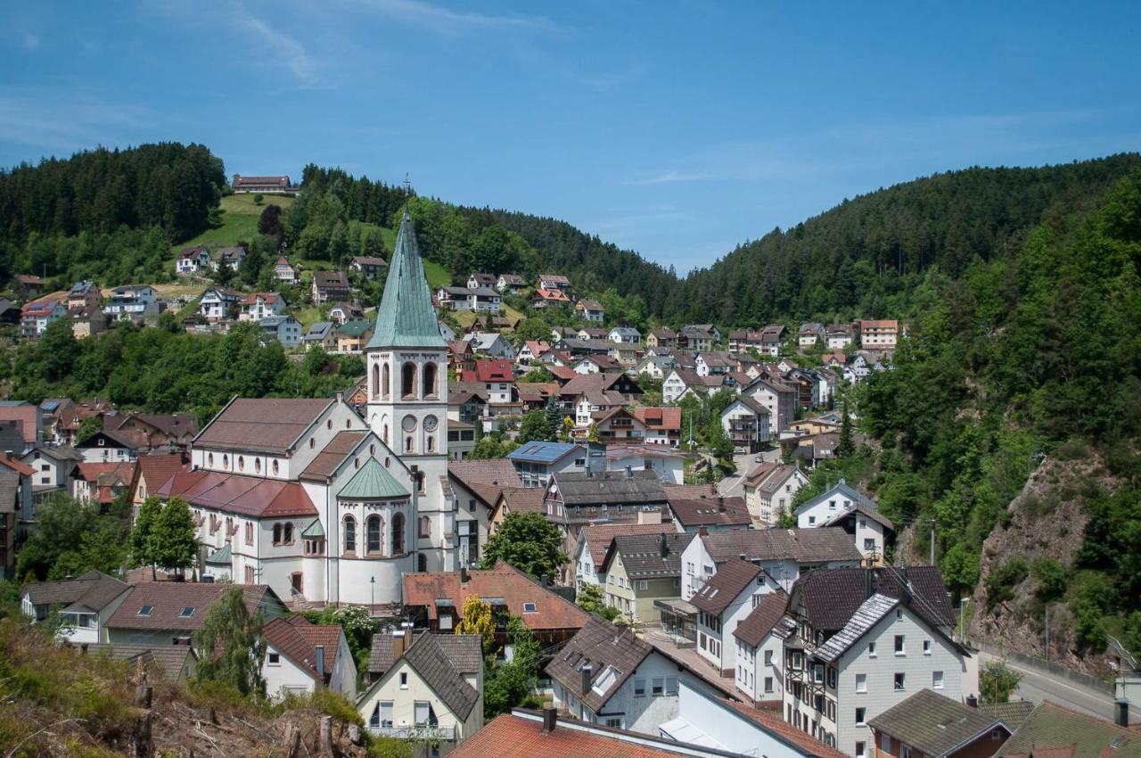 Appartamento Haus Am Bergle Lauterbach  Esterno foto